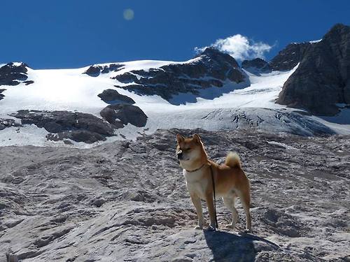 传统武艺光影秀：文化之美在运动中绽放