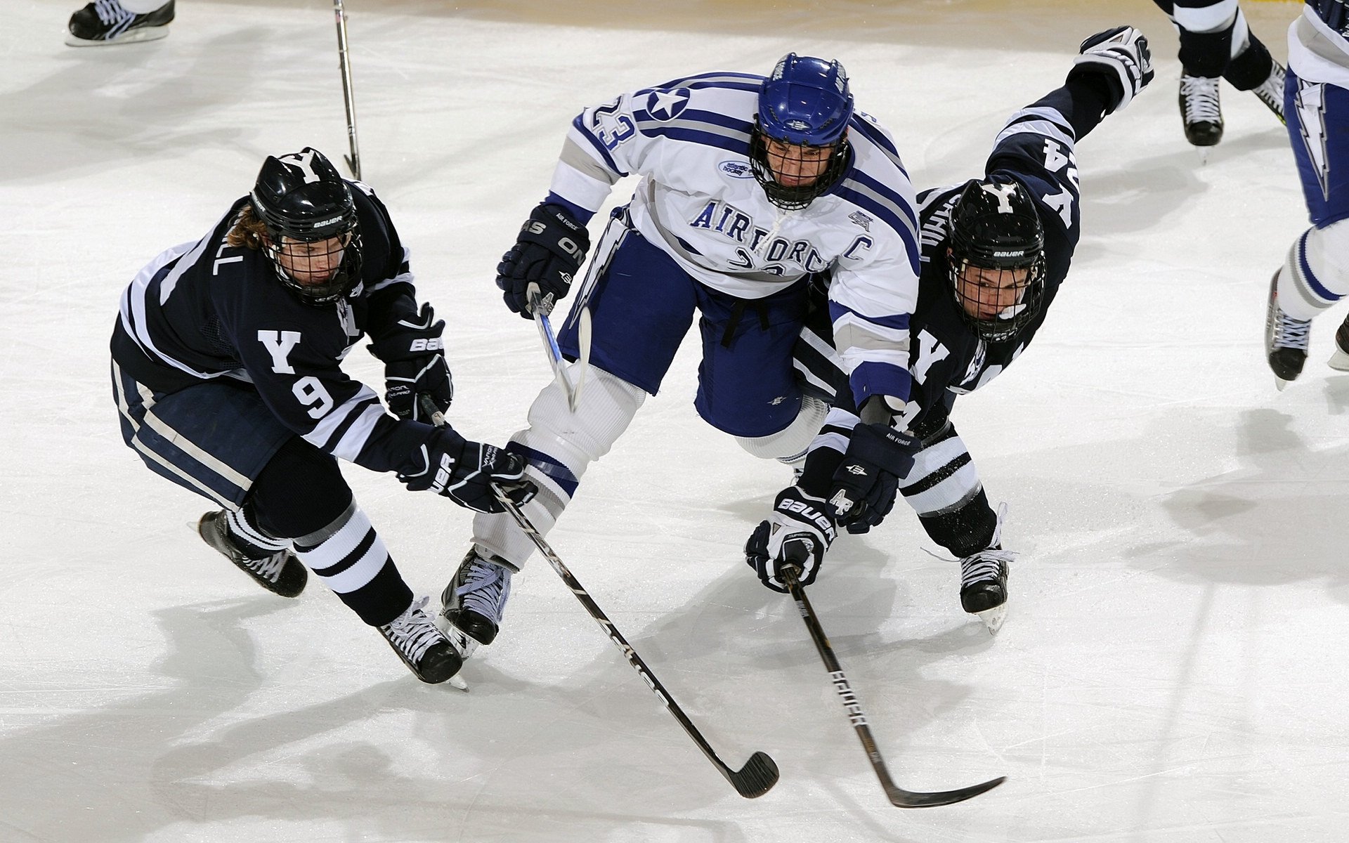 项目间多线竞争驱动国家运动水平提升